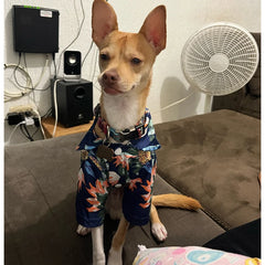 Hawaiian Shirts For Dog/Cat