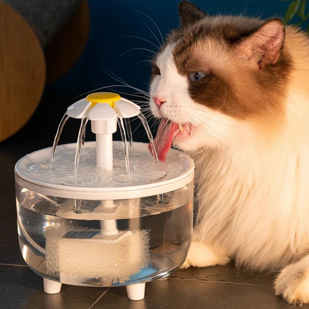 Automatic Cat Fountain